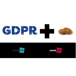 GDPR modul